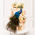 Decorative cake with peacock feathers and flowers on a white background